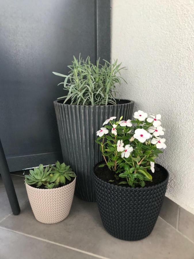 Premier Apartment Luceafarul Oradea Dış mekan fotoğraf